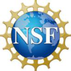 National Science Foundation
